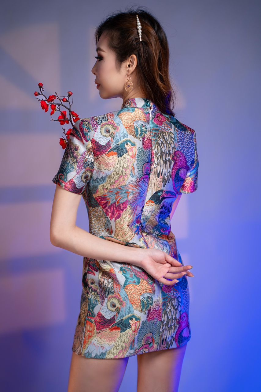 YĪNG Oriental Dress